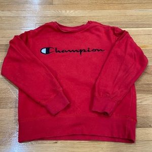 Champion Sweater